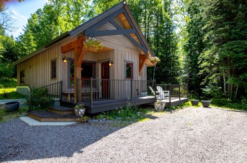 Back Forty Lodge - Cabin